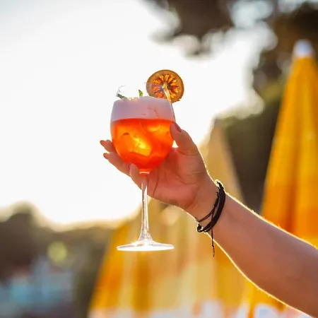 Sardunya Andifli Otel 2*