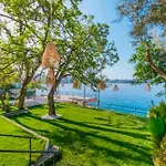 Sardunya Andifli Kaş