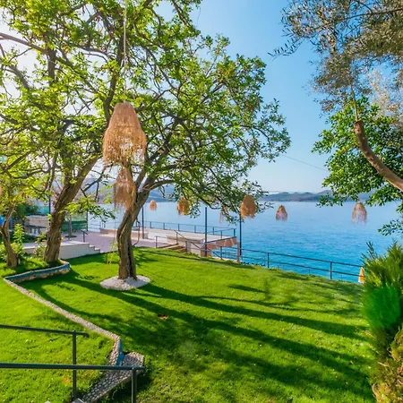 Sardunya Andifli Kaş