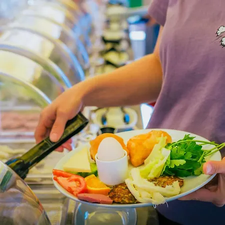 Sardunya Andifli 2* Каш