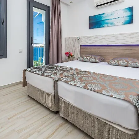 Sardunya Andifli 4* קס