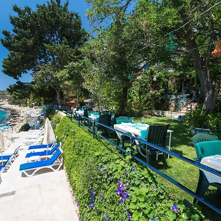 Sardunya Andifli Otel Kaş