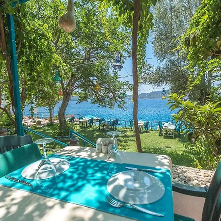 Sardunya Andifli Готель