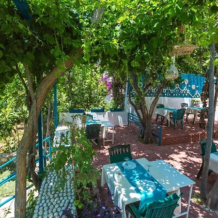 Готель Sardunya Andifli Каш