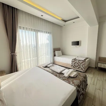 Sardunya Andifli Каш