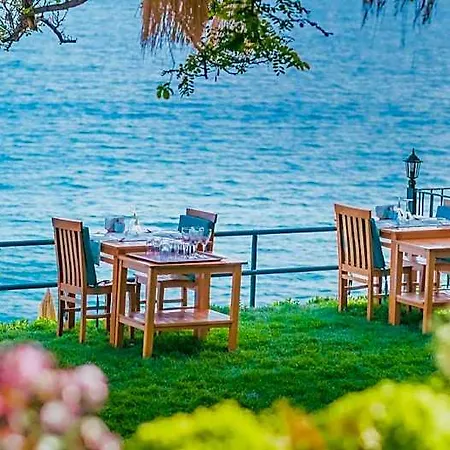 Sardunya Andifli Kaş