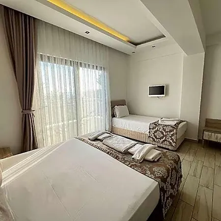 Sardunya Andifli 4*