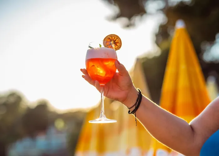 Sardunya Andifli 호텔 2*