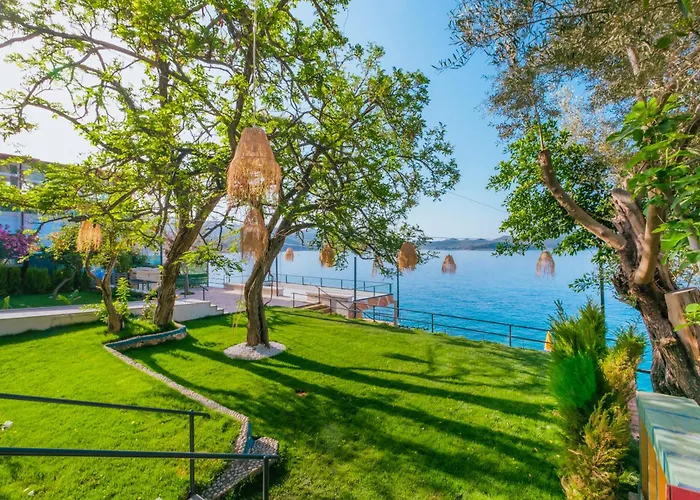 Sardunya Andifli 카스