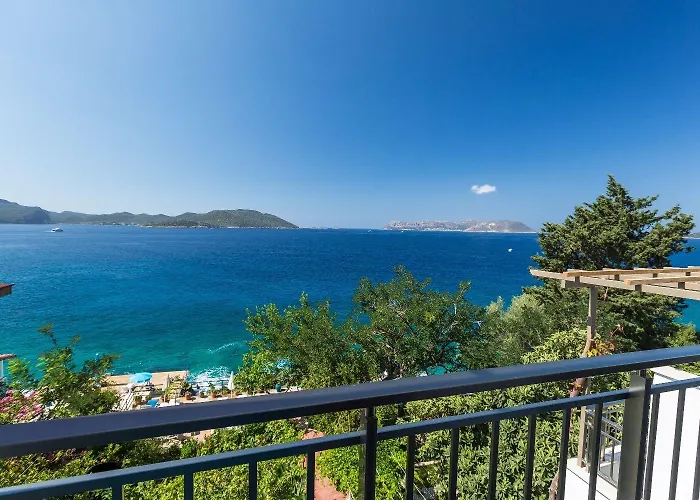 호텔 Sardunya Andifli