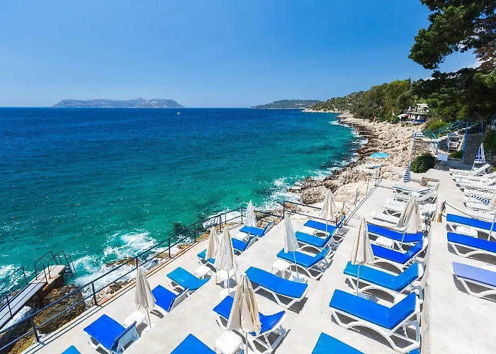 Sardunya Andifli 호텔