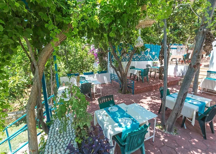 Sardunya Andifli 2* 카스