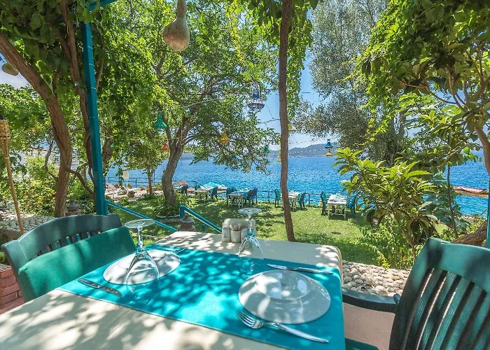 Sardunya Andifli ホテル