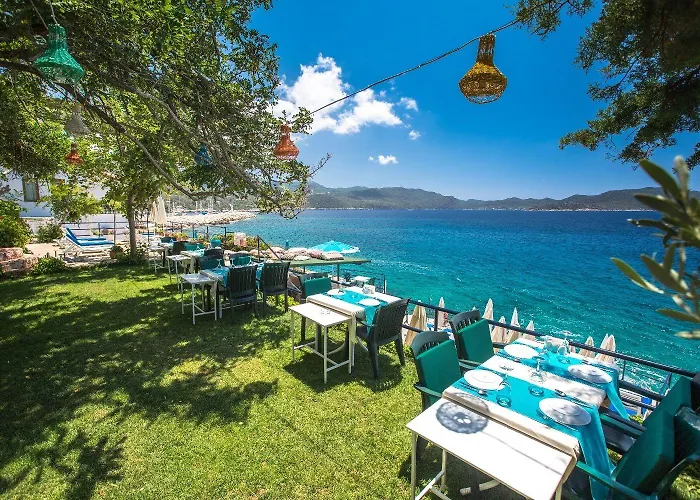 호텔 Sardunya Andifli