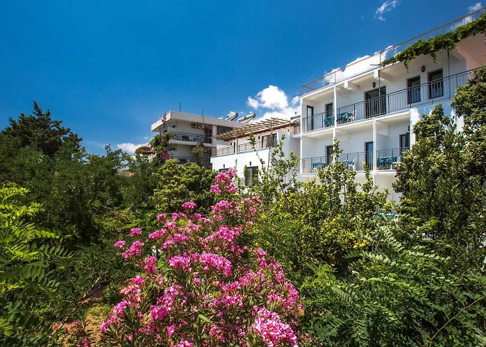 호텔 Sardunya Andifli 2*