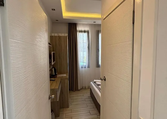 Sardunya Andifli 2* 카스