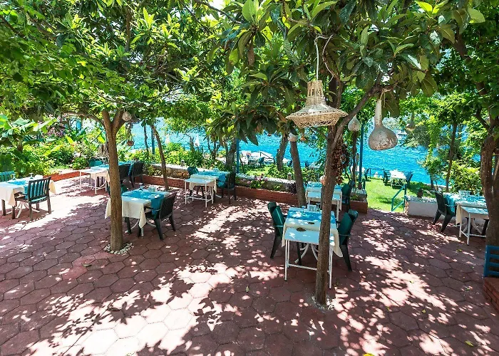 Ξενοδοχείο Sardunya Andifli Κας