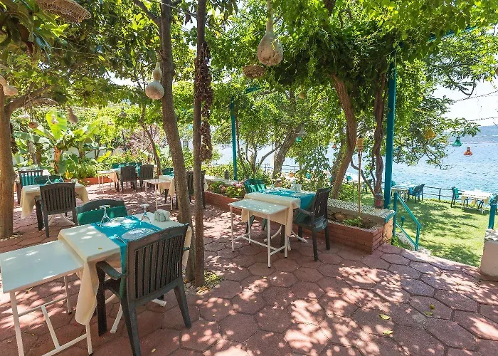 Ξενοδοχείο Sardunya Andifli