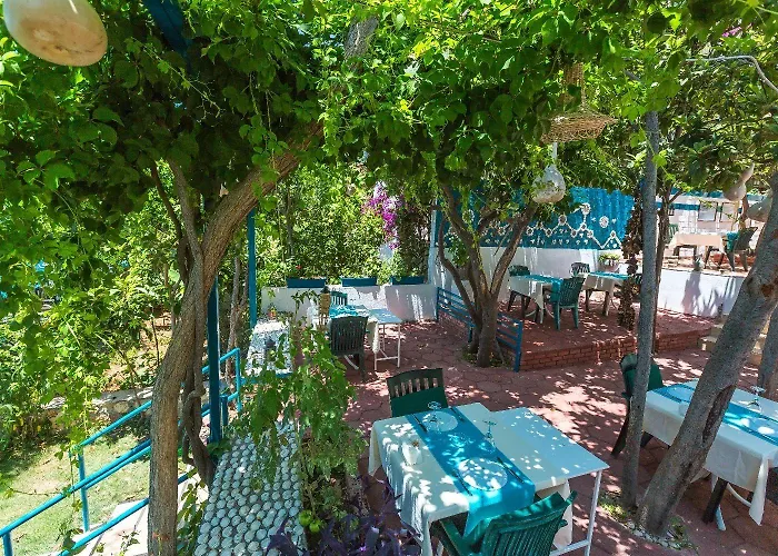 Ξενοδοχείο Sardunya Andifli Κας