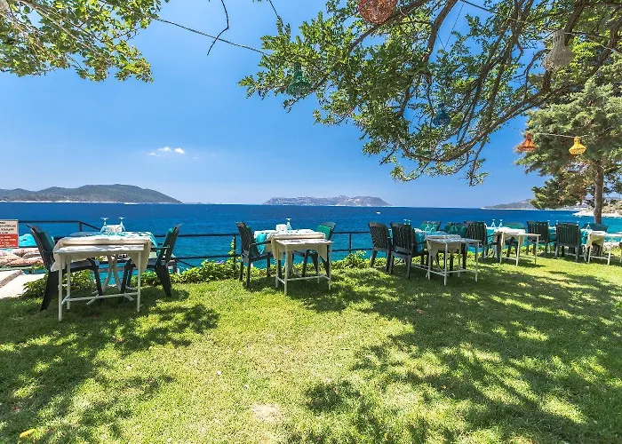 Sardunya Andifli Κας